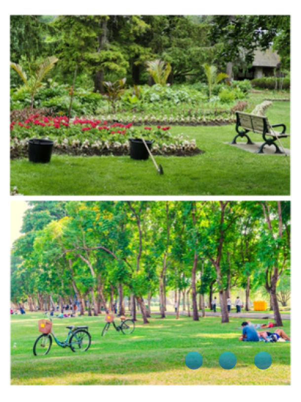 Public garden with flowers and a field with people laying down