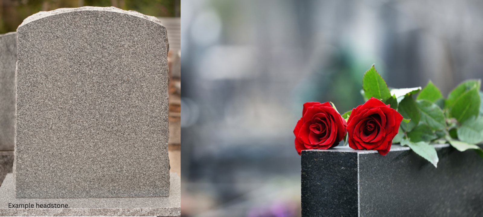 Grey granite headstone and two red roses
