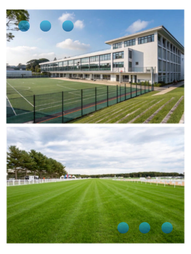 Sports field and sports ground next to a white building. 