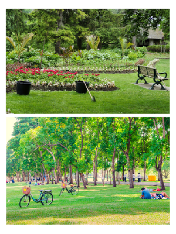 Public garden with flowers and a field with people laying down
