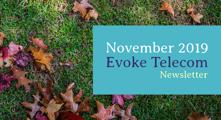 November newsletter November newsletter