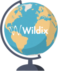 Graphic of a globe with Wildix Logo on