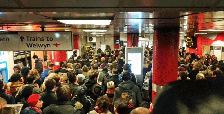 Flexible workers travelling on the train Flexible workers travelling on the train