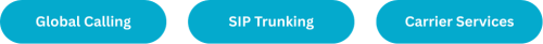 Blue ovals and white wording - Global Calling | SIP Trunking | Carrier Services