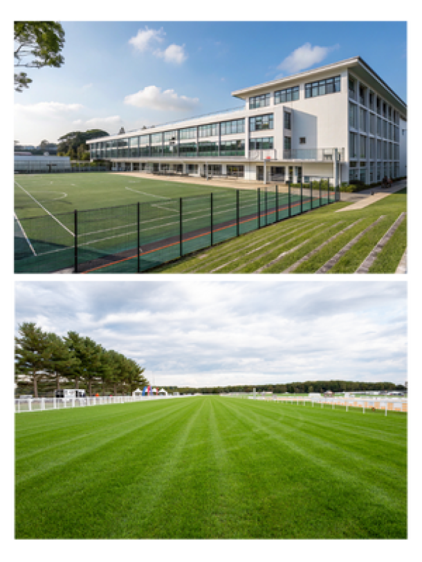 Sports field and sports ground next to a white building. 