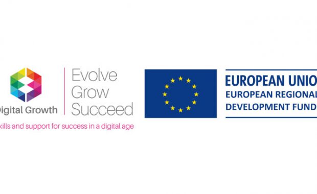 Digital Growth Programme